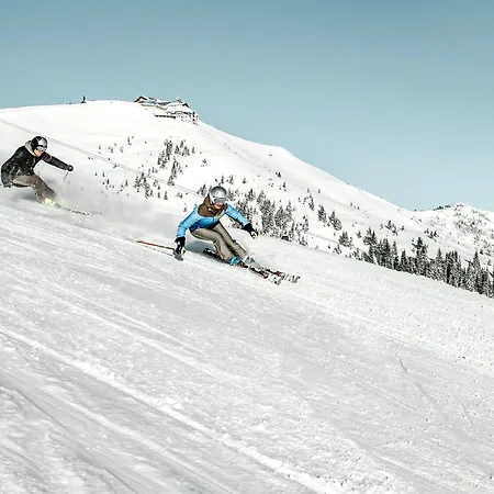 Am Stadtpark Apartment Zell am See