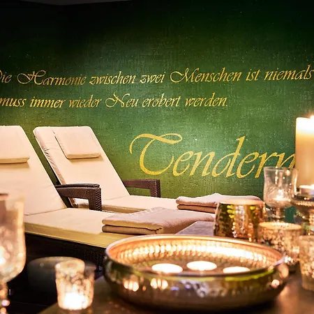 公寓 泽尔时见斯塔特帕克公寓 滨湖采尔